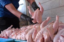 قیمت گوشت مرغ تازه در میادین اعلام شد