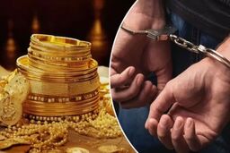پایان سرقت‌های مسلحانه از طلافروشی‌ها؛ عامل دو دستبرد مسلحانه در تهران دستگیر شد
