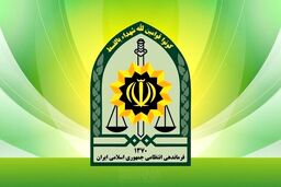 
درخواست پلیس از مردم برای اعلام موارد مشکوک به ۱۱۰