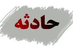 انگیزه پسر 20 ساله از گروگان گرفتن مادرش چه بود؟