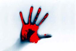 قتل هولناک زن و شوهر به دست فرزندخوانده