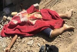 قتل مرد معتاد در آلونک شخصی؛ چه کسی جوان زباله گرد را کشته است؟