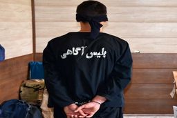 اعتراف مرد سرایدار به قتل زن صاحبخانه: زنم را هل داد، کشتمش