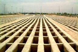 ماجرای فروش کیلویی استخوان مرده‌ها توسط باند سارقان