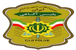 واکنش پلیس آگاهی تهران به فیلمی درباره گم شدن پسر 13 ساله: صحت ندارد
