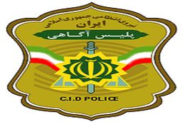 واکنش پلیس آگاهی تهران به فیلمی درباره گم شدن پسر 13 ساله: صحت ندارد