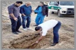 راز ناپدید شدن مرد تهرانی پس از ۶ ماه فاش شد/ عکس