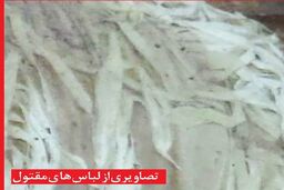 تلاش کارآگاهان رازگشایی از قتل فجیع زن ناشناس
