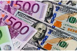 زن خدمتکار، دزد 50 میلیاردی دلار و یورو بود