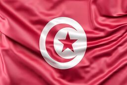 رسوایی اخلاقی نماینده مجلس تونس