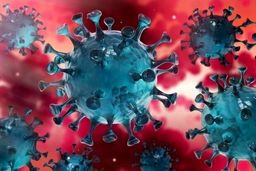 علائم پیرولا، زیرسویه جدید کرونا چیست؟