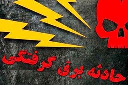سارق کابل‌های برق بر اثر برق گرفتگی جان باخت