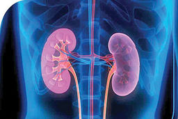 6 دلیل مهم وجود خون در ادرار