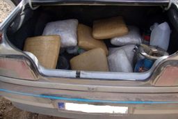 جزییات جدید از تیراندازی ماموران در خیابان هنگام/ جوان کشته شده، که بود؟