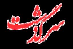 حرف‌های تکاندهنده دختری 14 ساله که در پارتی شبانه دستگیر شد