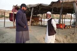 این دستفروش چابهاری به ۱۵ زبان صحبت می‌کند