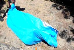 جزییات جدید از پرونده پدر و پسر مثله شده