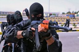 آدم‌ربایان گروگان 56 ساله را در شیراز رها کردند و گریختند