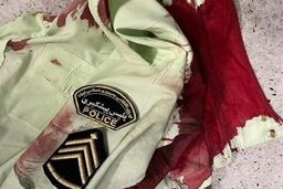شرور مسلح 3 مامور پلیس را در تهران به شهادت رساند