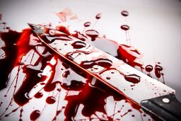سرقت؛ انگیزه احتمالی قتل هولناک 5 عضو یک خانواده در سیرجان