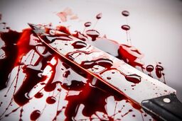 تحقیقات کارآگاهان جنایی مشهد برای افشای راز قتل 2 پسر جوان