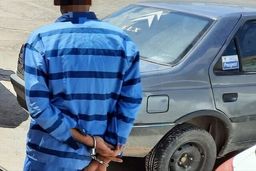 دستگیری مرد همسرکش با شلیک پلیس بندرعباس