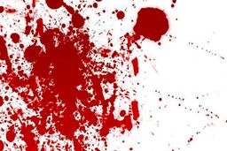 سارقان بی‌رحم نوجوان۱۶ساله اهل سیستان‌ و ‌بلوچستان را کشتند