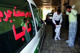 این دامادها، اعضای خانواده همسرشان را کشتند