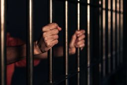 ترفند عجیب نوه جنایتکار برای قتل مادربزرگ