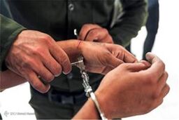 قتل برادرم کار من نیست، برادران دیگرم او را کشتند