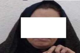 زنی با وعده فریبنده از 13 نفر 3 میلیارد تومان کلاهبرداری کرد