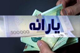 واریز یارانه اردیبهشت ماه؛ یارانه کدام خانواده‌ها کم شد؟