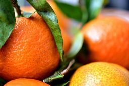 ُسلولیت چیست و چطور از بین می‌رود
