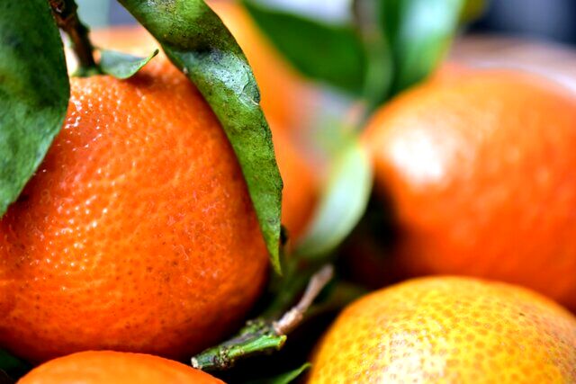 ُسلولیت چیست و چطور از بین می‌رود