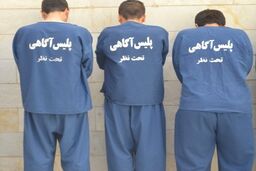 ۳ پاکستانی، افغان‌ها را در تهران گروگان می‌گرفتند تا اخاذی کنند