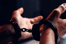 قتل پدرزنم عمدی نبود، می‌خواستم با همسرم آشتی کنم