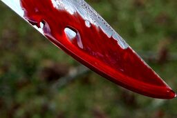 بازداشت یک مظنون در پرونده قتل در خیابان سپهبد قرنی