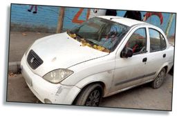 دختر جوان برای رسیدن به پدرش او را کشت و تکه تکه کرد