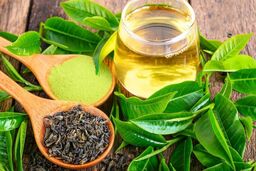 چای سبز برای چی خوب است