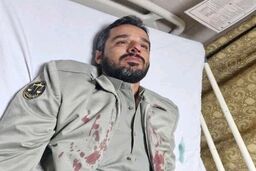 مجروح شدن محیط‌بان کازرونی در عملیات حفاظت از بلوط‌ها