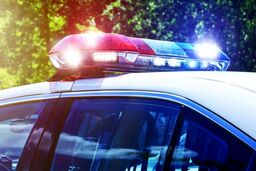 ببینید: عملیات پلیس تهران برای دستگیری فروشنده ماری‌جوانا