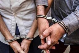 زنی برای تصاحب حقوق بازنشستگی شوهر 82 ساله‌اش آدمکش اجیر کرد