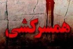 جزئیات قتل کارمند بانک به دست شوهرش
