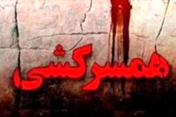 جزئیات قتل کارمند بانک به دست شوهرش