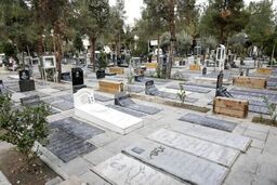 گنج‌یابی در بهشت زهرا/ میراث فرهنگی واکنش نشان داد