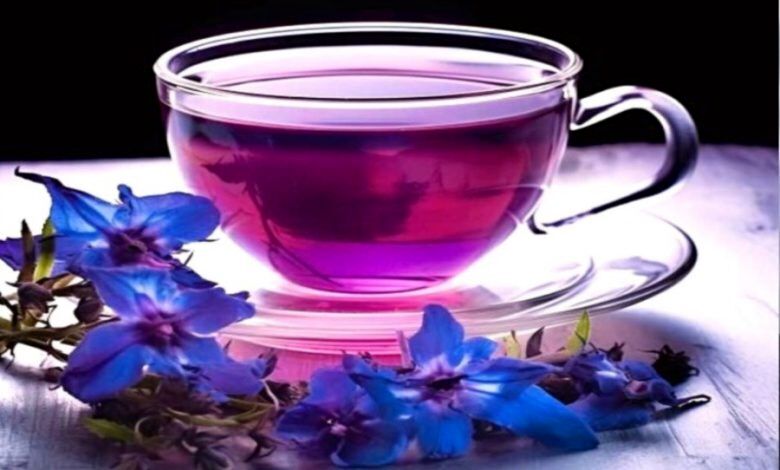 با این دمنوش کلیه‌ها را تقویت کنید+ روش تهیه