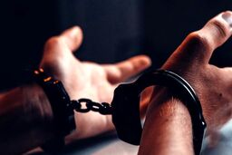قتل پزشک تبریزی، کار برادرش بود