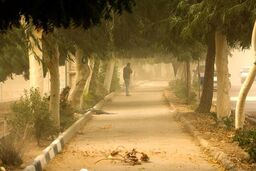 آمار مصدومان طوفان شب گذشته در تهران
