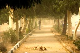 آمار مصدومان طوفان شب گذشته در تهران