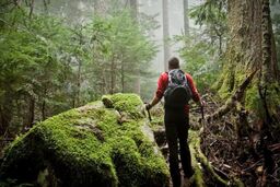 کشف تازه: تمرین تجسمی ساده برای نابودی استرس